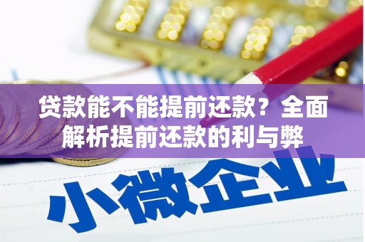新野贷款能不能提前还款？全面解析提前还款的利与弊