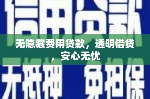 新野无隐藏费用贷款，透明借贷，安心无忧
