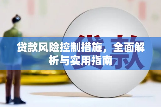 新野贷款风险控制措施，全面解析与实用指南