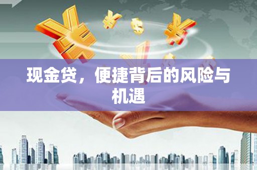 新野现金贷，便捷背后的风险与机遇