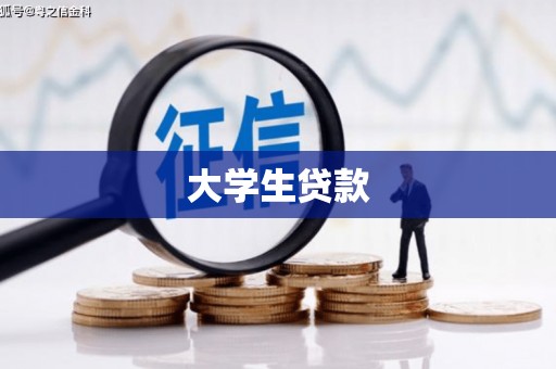 新野大学生贷款