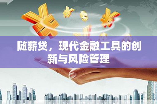 新野随薪贷，现代金融工具的创新与风险管理