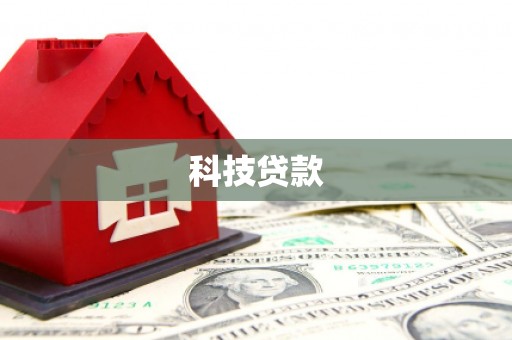 新野科技贷款