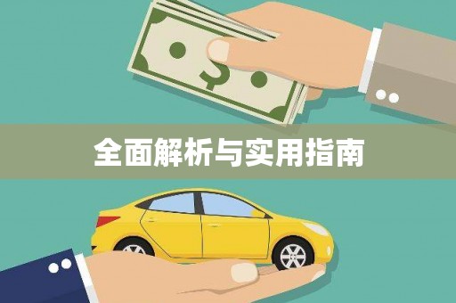 新野全面解析与实用指南