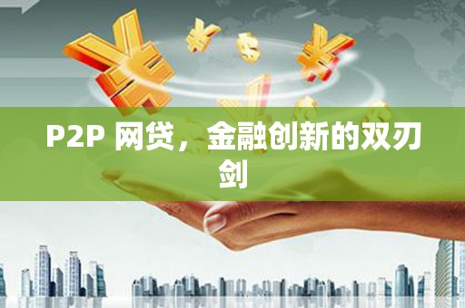 新野P2P 网贷，金融创新的双刃剑