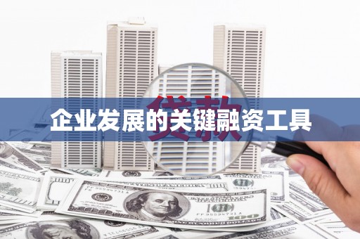 新野企业发展的关键融资工具