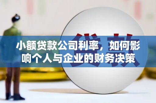 新野小额贷款公司利率，如何影响个人与企业的财务决策