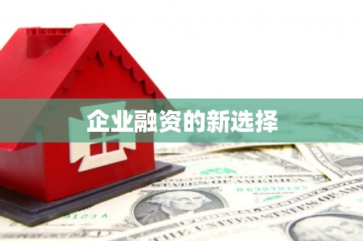 新野企业融资的新选择