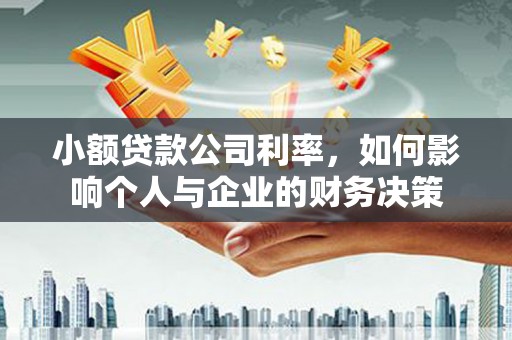 新野小额贷款公司利率，如何影响个人与企业的财务决策