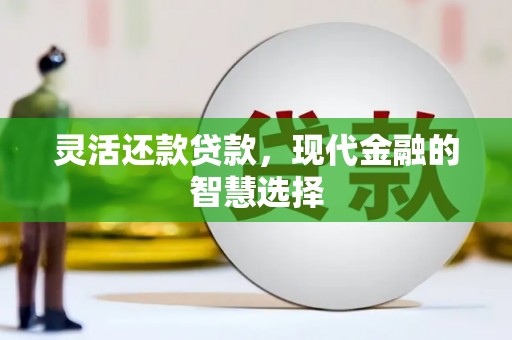 新野灵活还款贷款，现代金融的智慧选择