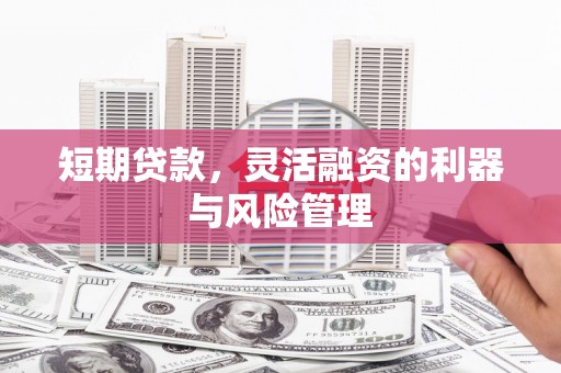 新野短期贷款，灵活融资的利器与风险管理