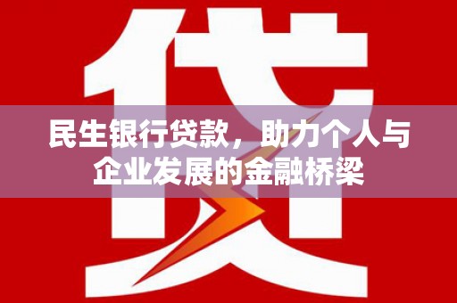新野民生银行贷款，助力个人与企业发展的金融桥梁