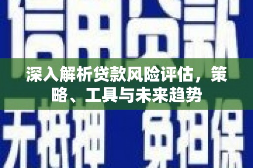 新野深入解析贷款风险评估，策略、工具与未来趋势