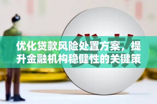 新野优化贷款风险处置方案，提升金融机构稳健性的关键策略