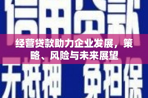 新野经营贷款助力企业发展，策略、风险与未来展望