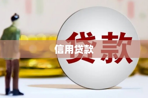 新野信用贷款