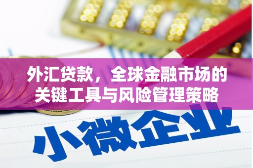 新野外汇贷款，全球金融市场的关键工具与风险管理策略