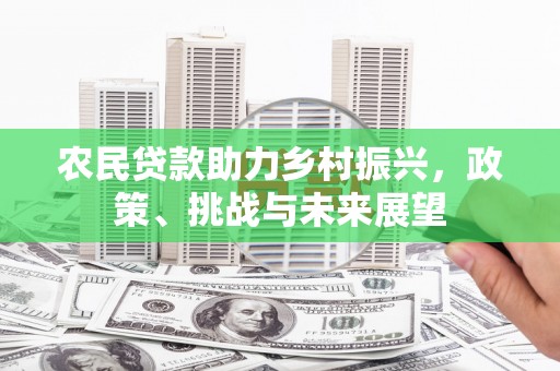 新野农民贷款助力乡村振兴，政策、挑战与未来展望