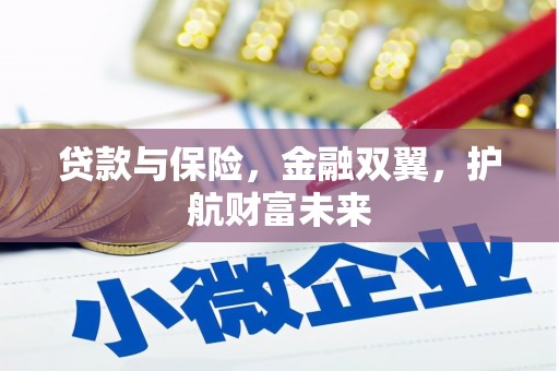 新野贷款与保险，金融双翼，护航财富未来