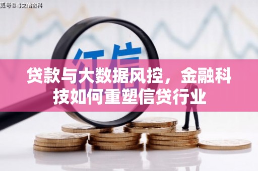 新野贷款与大数据风控，金融科技如何重塑信贷行业