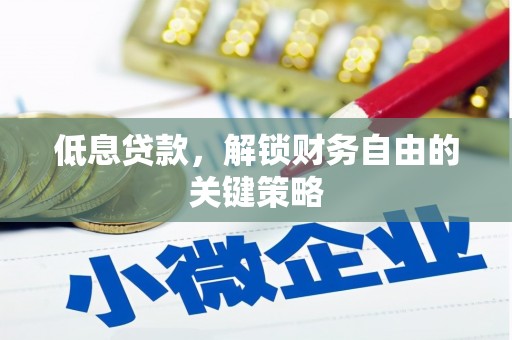 新野低息贷款，解锁财务自由的关键策略