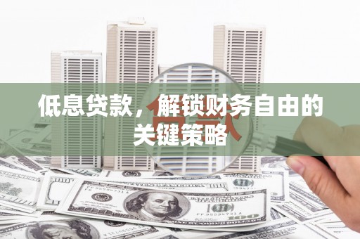 新野低息贷款，解锁财务自由的关键策略