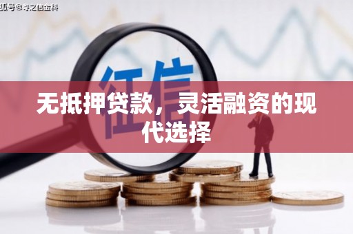 新野无抵押贷款，灵活融资的现代选择