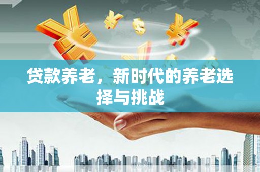 新野贷款养老，新时代的养老选择与挑战