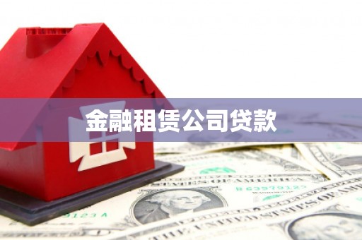 新野金融租赁公司贷款