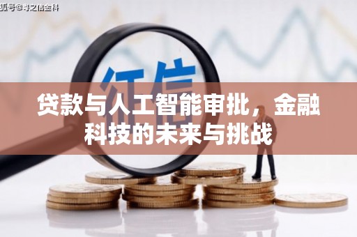 新野贷款与人工智能审批，金融科技的未来与挑战