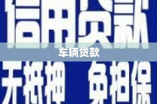 新野车辆贷款