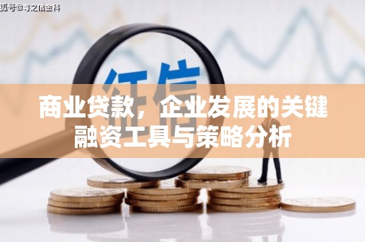新野商业贷款，企业发展的关键融资工具与策略分析