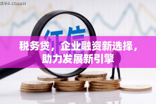 新野税务贷，企业融资新选择，助力发展新引擎