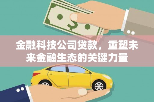 新野金融科技公司贷款，重塑未来金融生态的关键力量