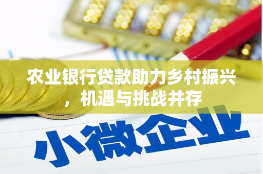 新野农业银行贷款助力乡村振兴，机遇与挑战并存
