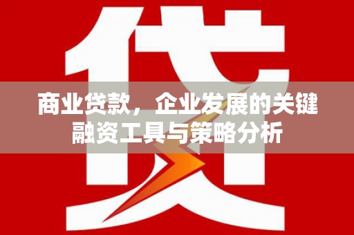 新野商业贷款，企业发展的关键融资工具与策略分析