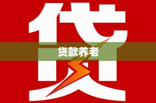 新野贷款养老