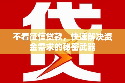 新野不看征信贷款，快速解决资金需求的秘密武器