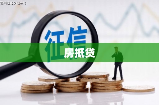 新野房抵贷