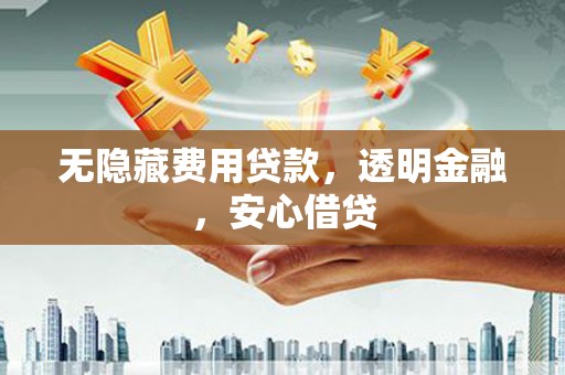 新野无隐藏费用贷款，透明金融，安心借贷