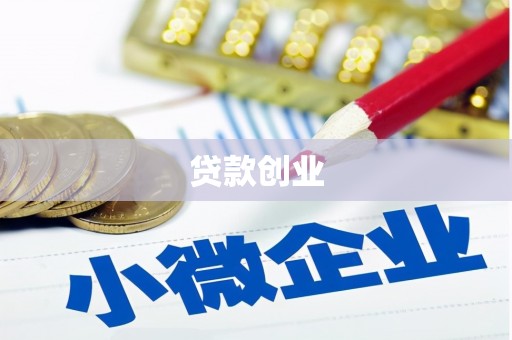新野贷款创业