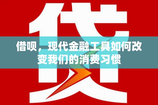 新野借呗，现代金融工具如何改变我们的消费习惯