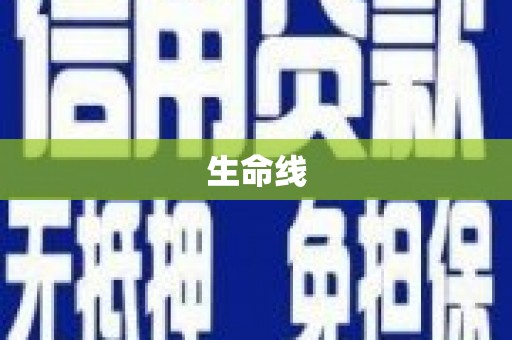 新野生命线