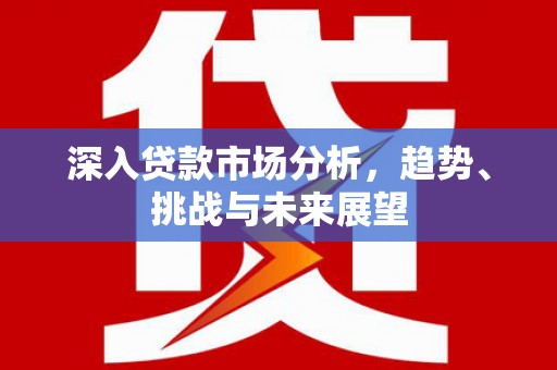 新野深入贷款市场分析，趋势、挑战与未来展望