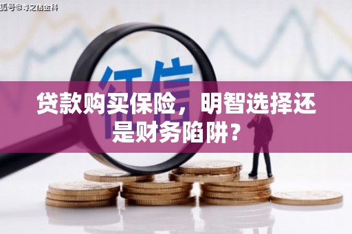 新野贷款购买保险，明智选择还是财务陷阱？