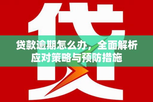 新野贷款逾期怎么办，全面解析应对策略与预防措施