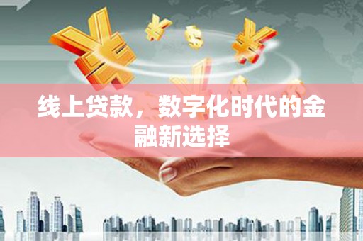 新野线上贷款，数字化时代的金融新选择