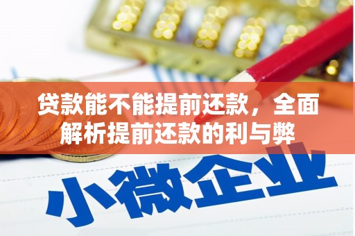 新野贷款能不能提前还款，全面解析提前还款的利与弊