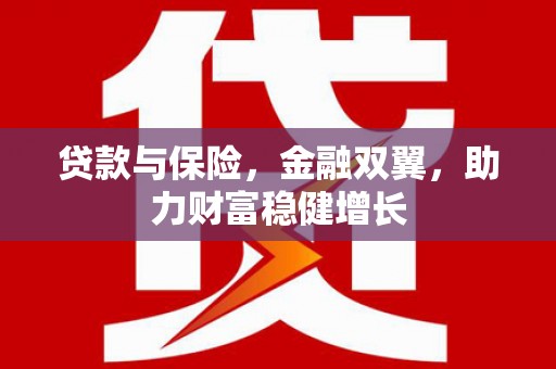 新野贷款与保险，金融双翼，助力财富稳健增长