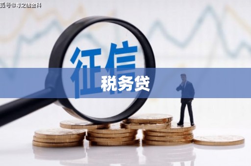 新野税务贷
